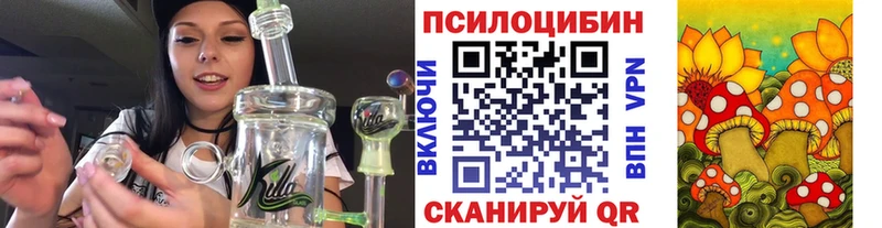 Галлюциногенные грибы Psilocybe  Купить где  Пошехонье 
